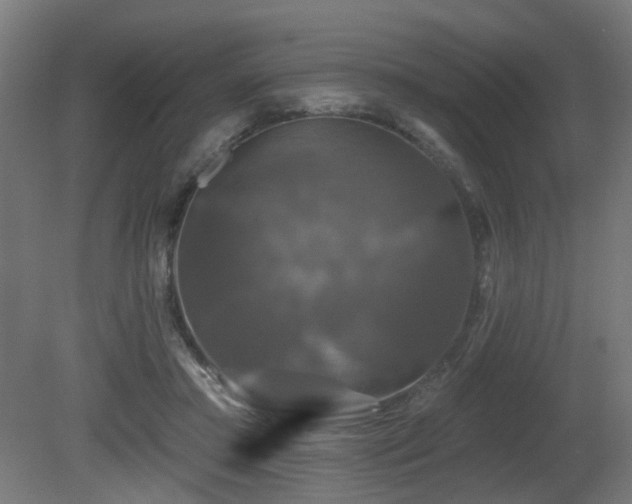 X0000081360405200701111527