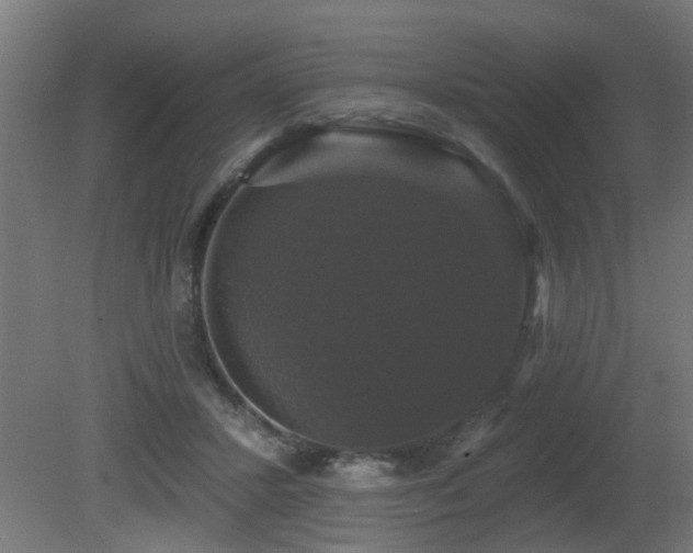 X0000081360407200701111527