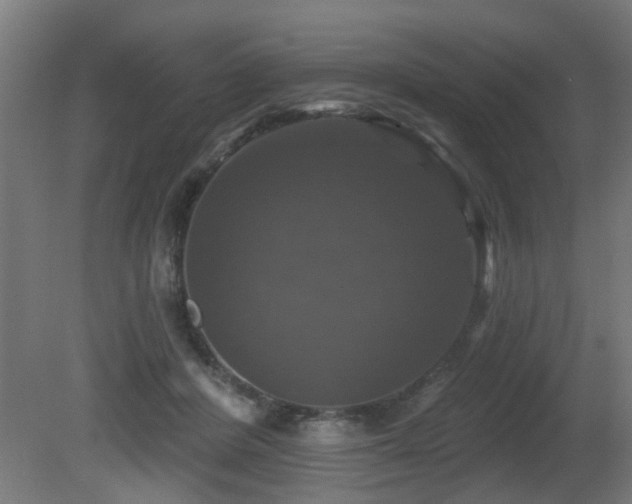 X0000081360408200701111527