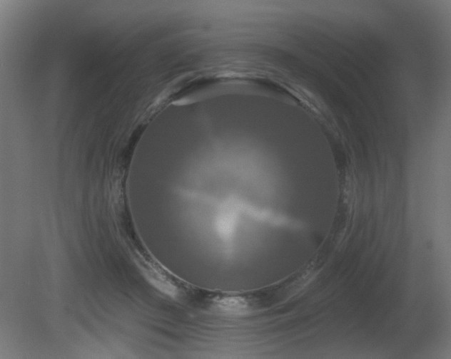 X0000081360409200701111527