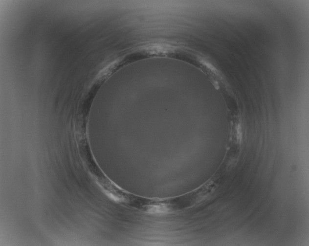 X0000081360411200701111527