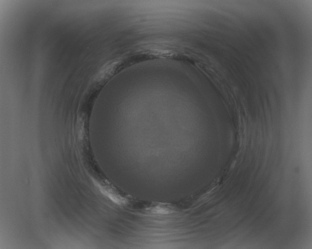X0000081360412200701111527