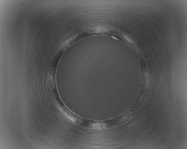 X0000081360415200701111527