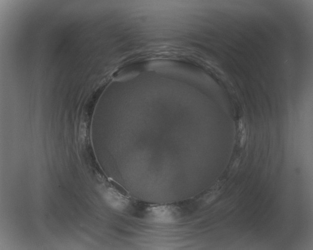 X0000081360417200701111527