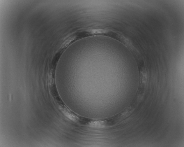 X0000081360422200701111526