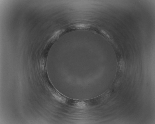 X0000081360423200701111526