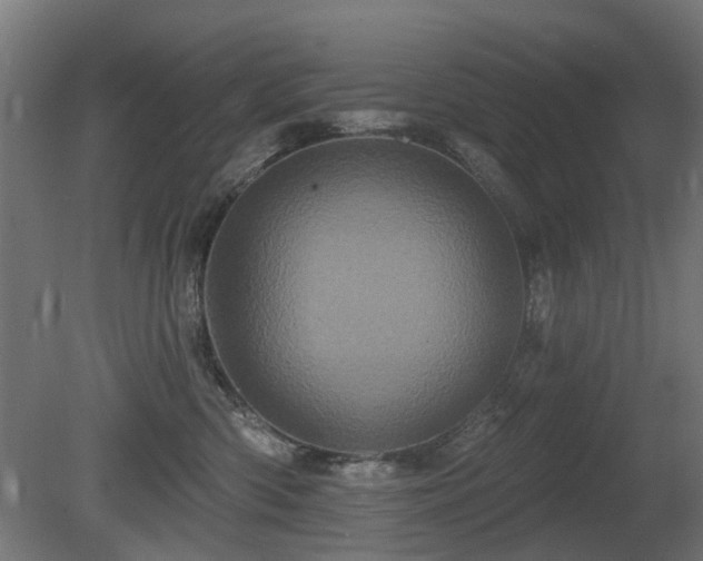 X0000081360426200701111526