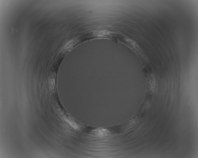 X0000081360427200701111526