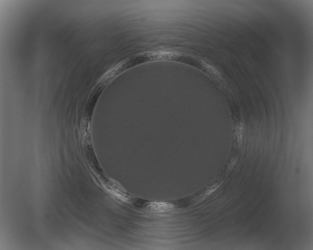 X0000081360429200701111526