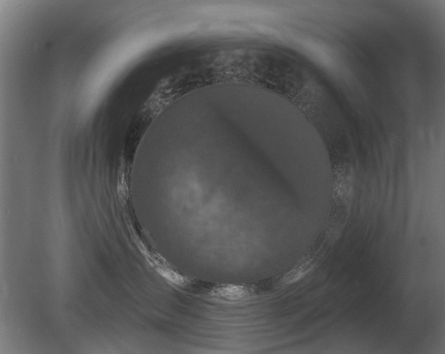 X0000081360431200701111526