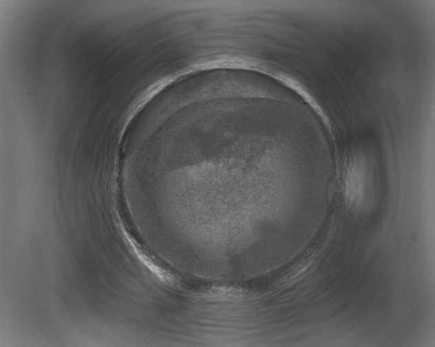 X0000081360437200701111526