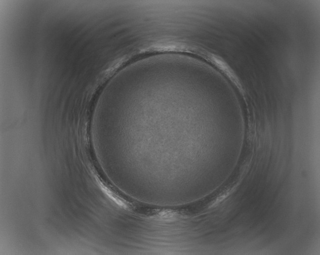 X0000081360441200701111526