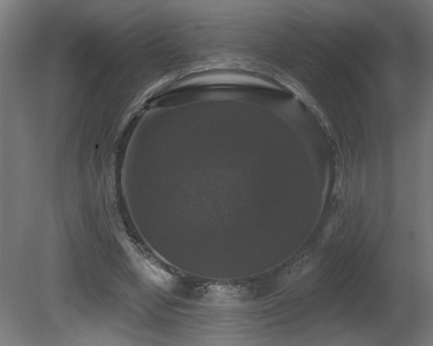 X0000081360442200701111526