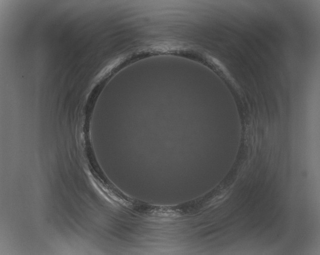 X0000081360443200701111526