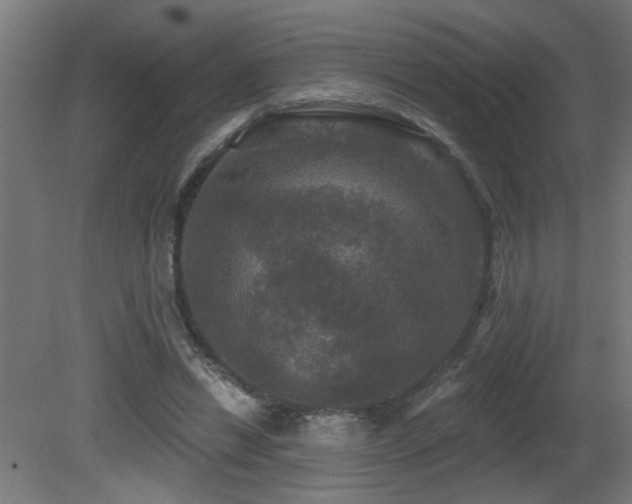 X0000081360446200701111526