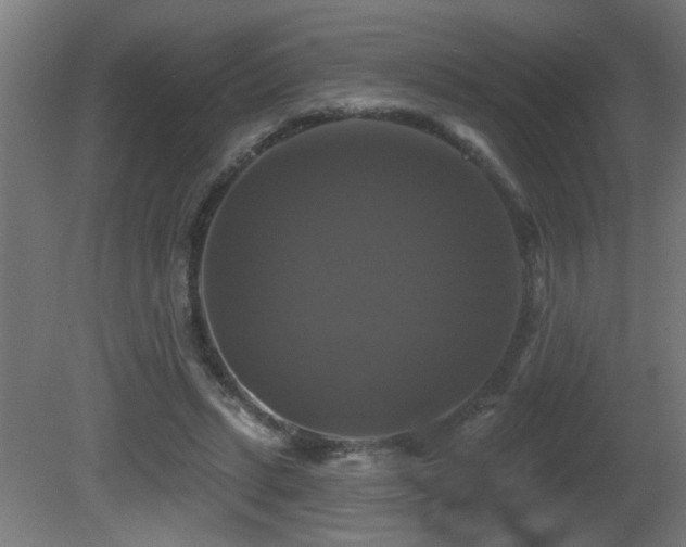 X0000081360447200701111526