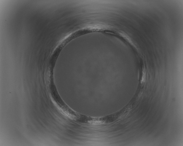 X0000081360448200701111526