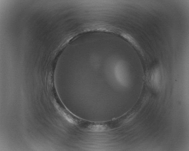 X0000081360449200701111526