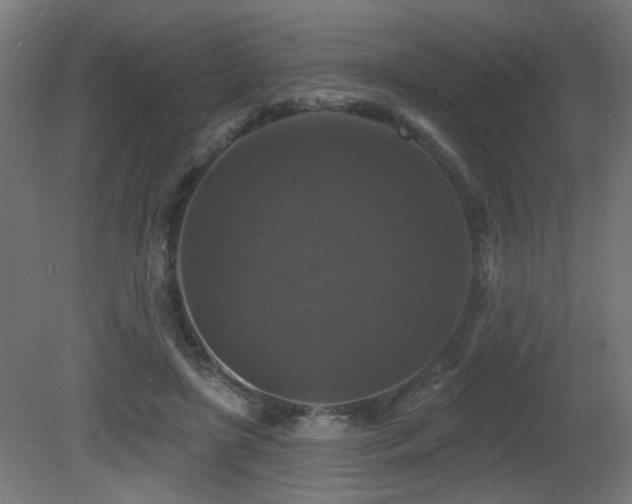 X0000081360451200701111526