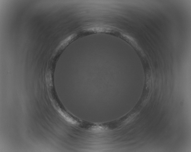 X0000081360453200701111526