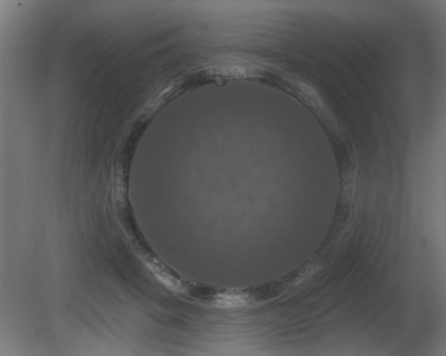 X0000081360457200701111526