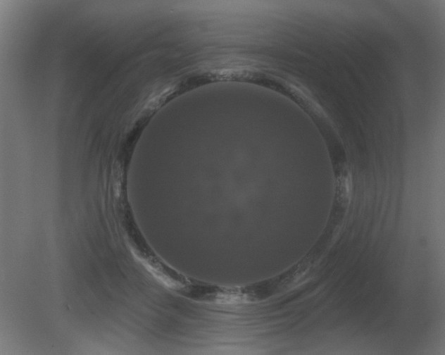 X0000081360458200701111526