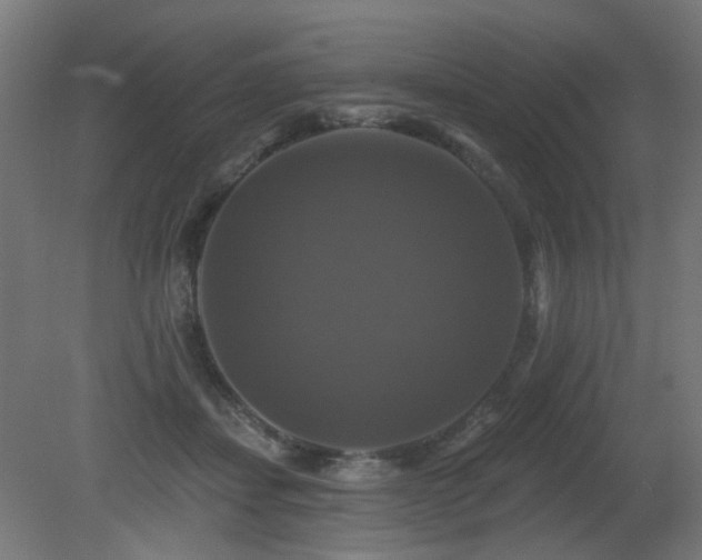 X0000081360459200701111526