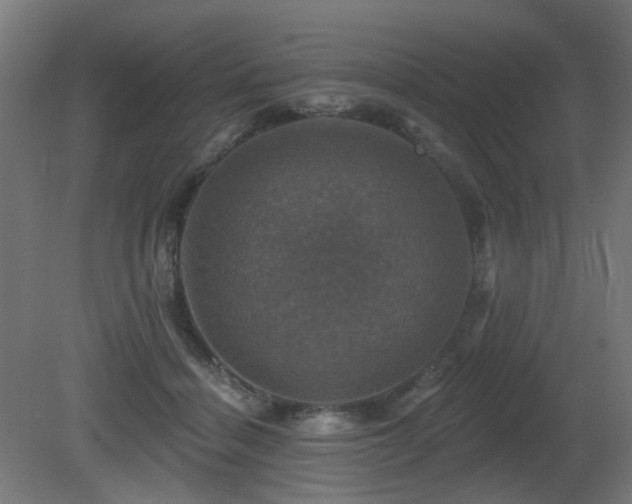 X0000081360460200701111526