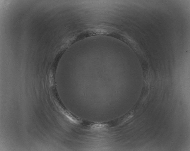 X0000081360465200701111526