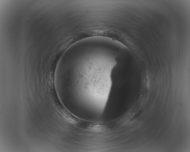 X0000081360467200701111526