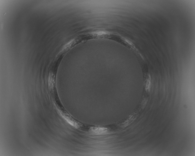 X0000081360476200701111526