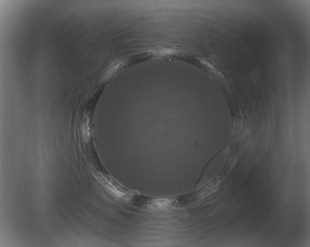 X0000081360479200701111526