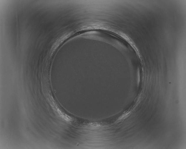 X0000081360481200701111525