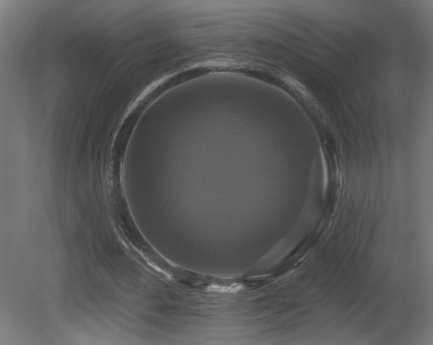 X0000081360484200701111525
