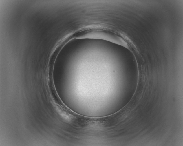X0000081360486200701111525