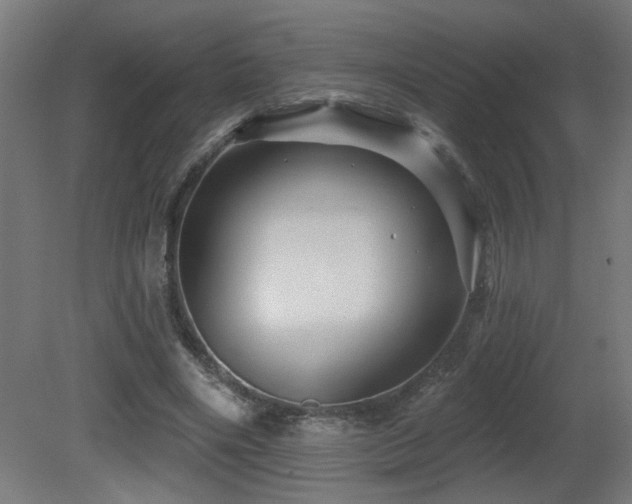X0000081360490200701111525