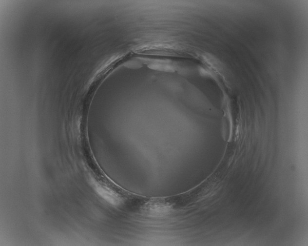 X0000081360491200701111525