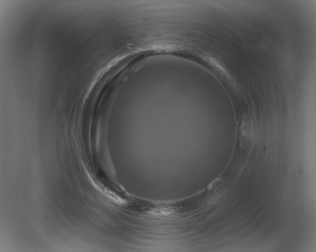 X0000081360492200701111525
