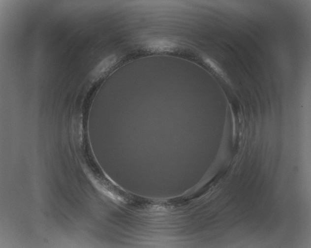 X0000081360494200701111525