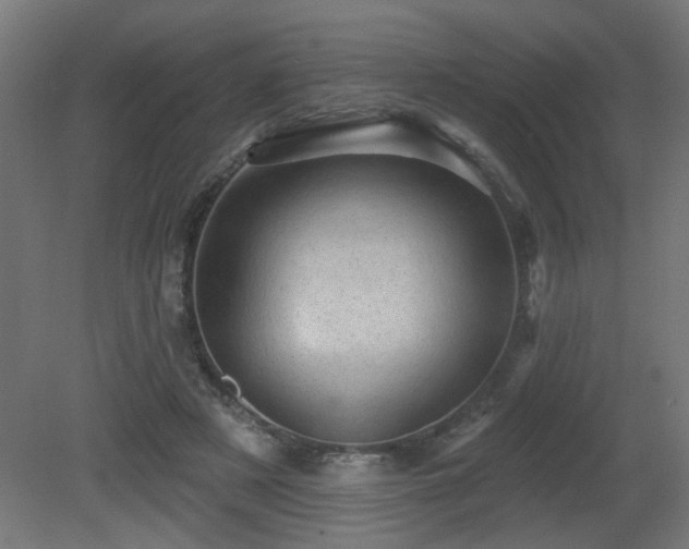 X0000081360497200701111525