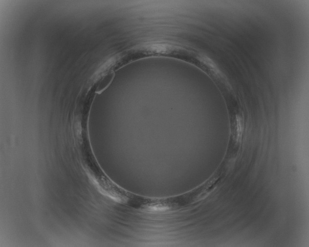 X0000081360500200701111525