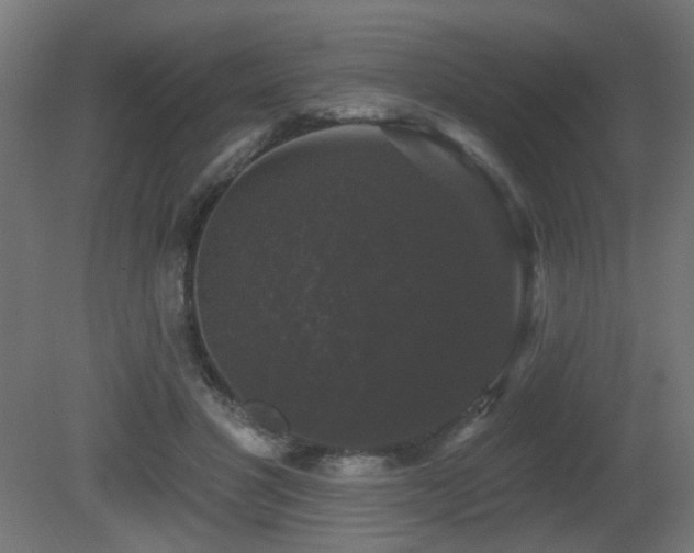 X0000081360501200701111525