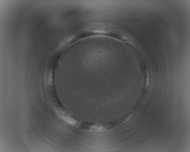 X0000081360502200701111525
