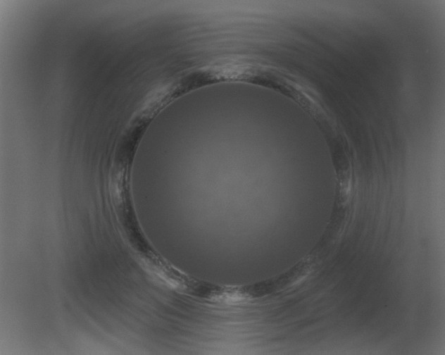 X0000081360503200701111525