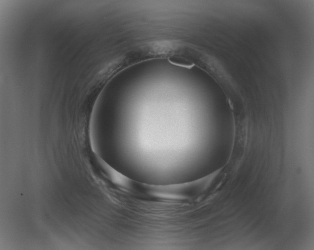 X0000081360505200701111525