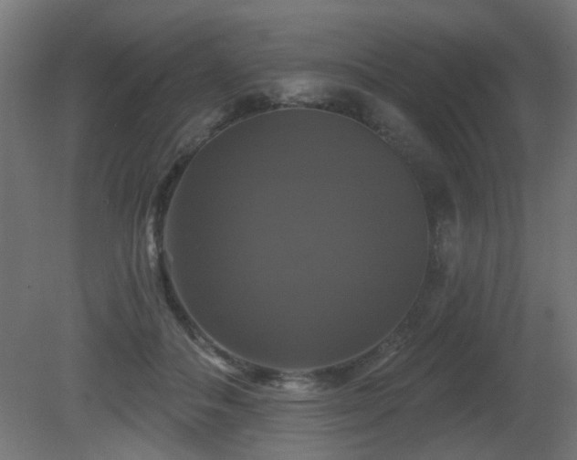 X0000081360506200701111525