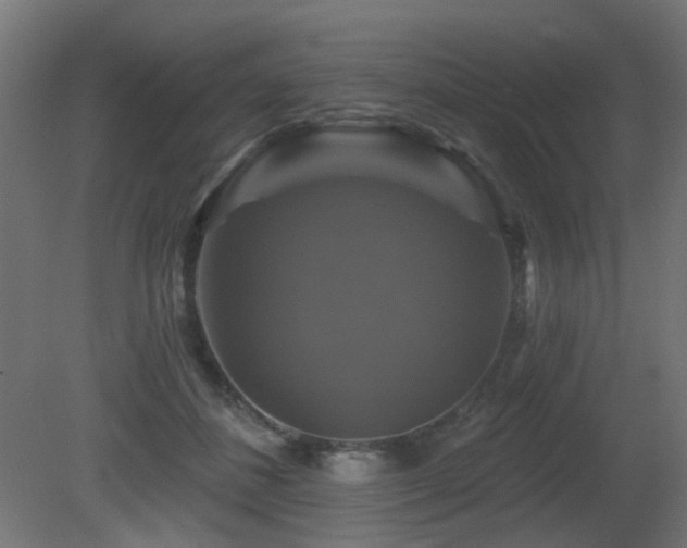 X0000081360508200701111525