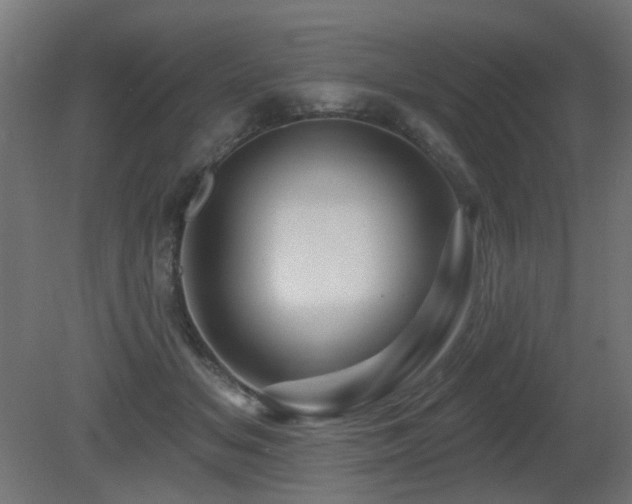 X0000081360509200701111525