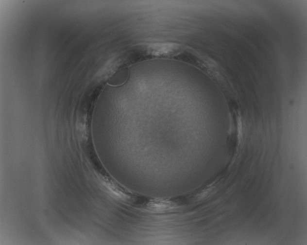X0000081360510200701111525