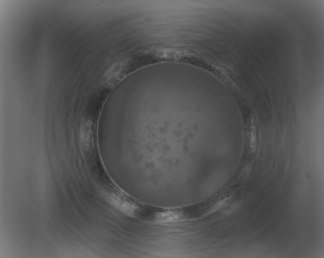 X0000081360511200701111525